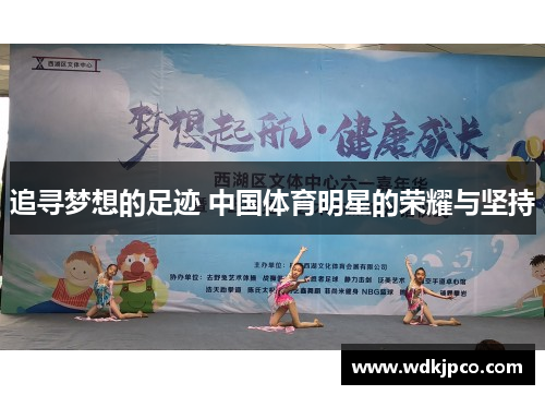 追寻梦想的足迹 中国体育明星的荣耀与坚持