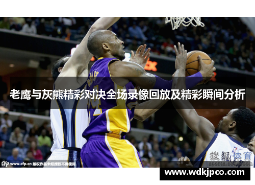 老鹰与灰熊精彩对决全场录像回放及精彩瞬间分析