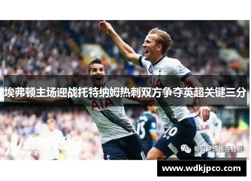 埃弗顿主场迎战托特纳姆热刺双方争夺英超关键三分