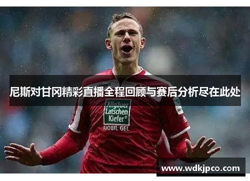 尼斯对甘冈精彩直播全程回顾与赛后分析尽在此处